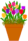 tulips.gif (3447 bytes)