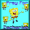 Pray for Zachariah