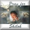 Pray for Shiloh