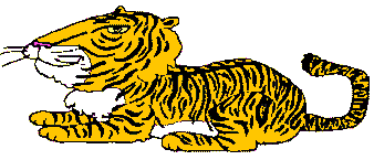 A tiger - in case you couldn't tell
