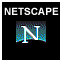 Upgrade to Netscape 4.* Site Recommended