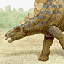 [Stegasaurus]