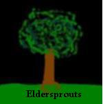 A real Elder Tree