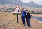 Dung beetles have right of way in Ithala GAme Reserve