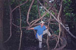All tangled up in Nam Nao National Park