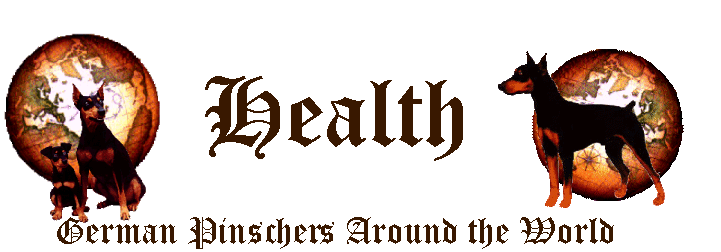 German Pinscher Health Banner