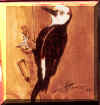Acorn Woodpecker.jpg (200882 bytes)