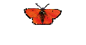 Chrysalis Home