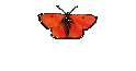 Chrysalis 20/21 pictures