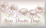 Next Poodle Site