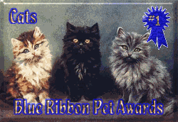 Blue Ribbon Award!
