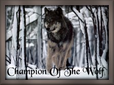 Champion Of The Wolf