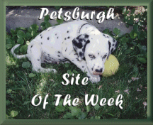 Petsburgh Site Of The Week