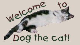 Welcome to Dog the cat!