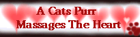 'Cats Purr Massages the Heart'