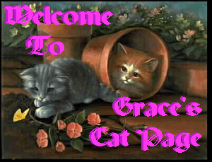 'Welcome To Grace's Cat Page'