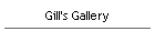 Gill's Gallery