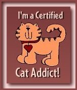 Are You A Cat Addict?