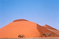 The world's biggest sand dunes are at Sossusvlei