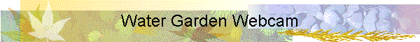 Water Garden Cam